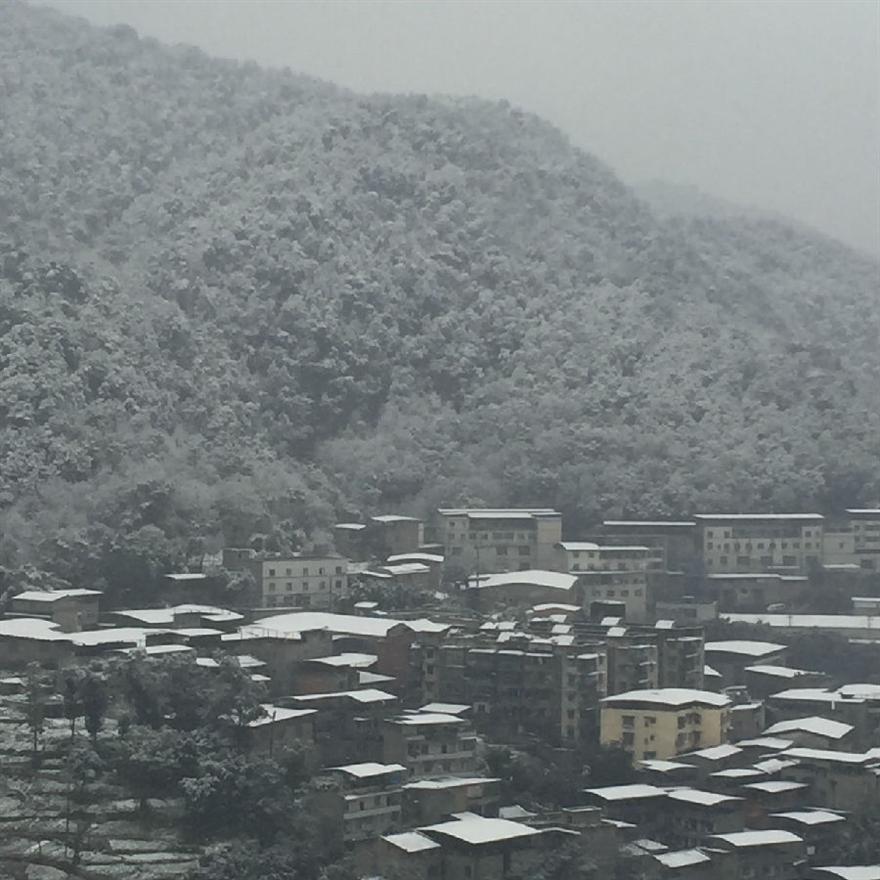 濾油機濾芯_重慶下雪啦